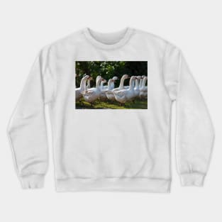 Gaggle walking Crewneck Sweatshirt